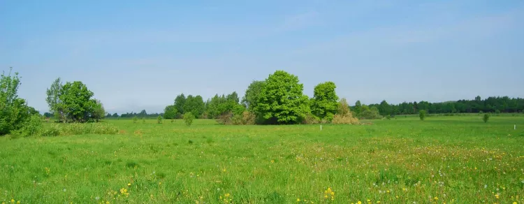 В Україні дозволять продавати право оренди на землю | Toprealtor