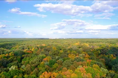 Інші ділянки в Лісопарку | Toprealtor