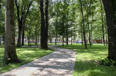 Ділянки на Сокільниках | Toprealtor