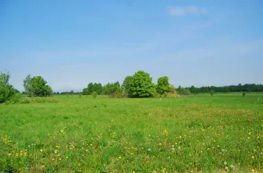 В Украине разрешат продавать право аренды на землю | Toprealtor