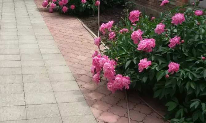 Продам будинок на Шатилівці | Toprealtor