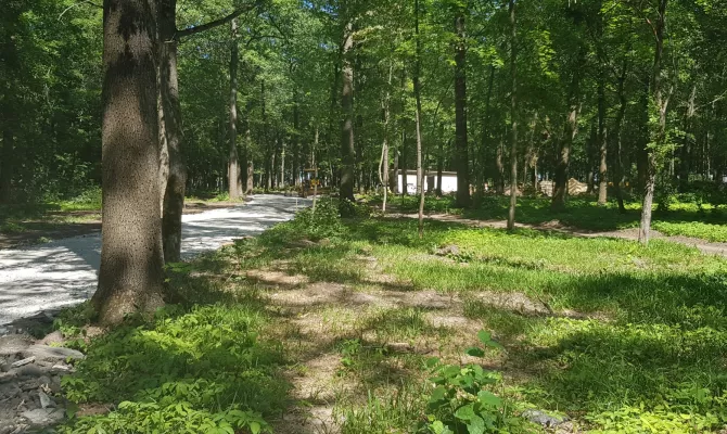 Офіс продам котеджного селища Форест пропонує ділянку під забудову 14,5 соток | Toprealtor