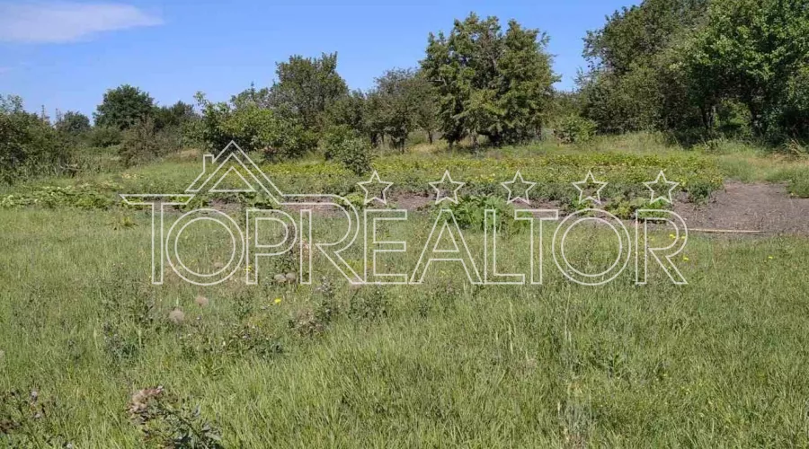 Продам ділянки по 25 соток Родичі | Toprealtor