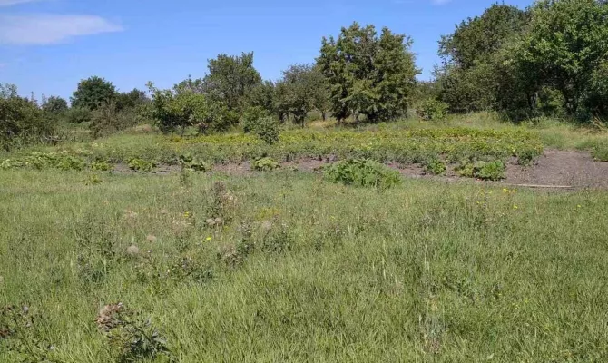 Продам ділянки по 25 соток Родичі | Toprealtor