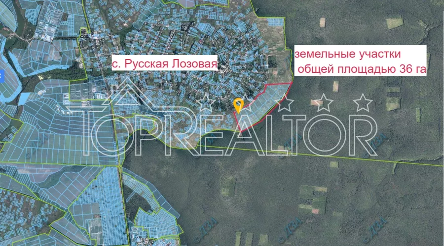 Продам 36 га в Руській Лозовій | Toprealtor