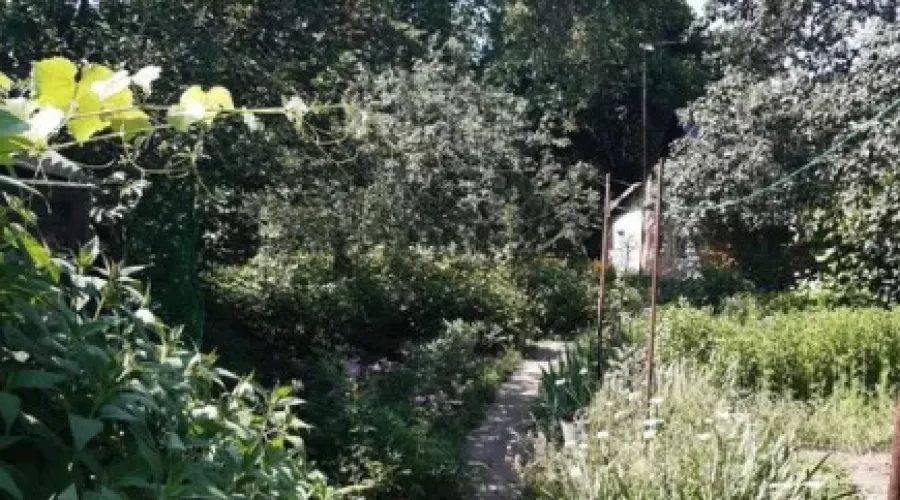 Продам ділянку на Шатиловці | Toprealtor