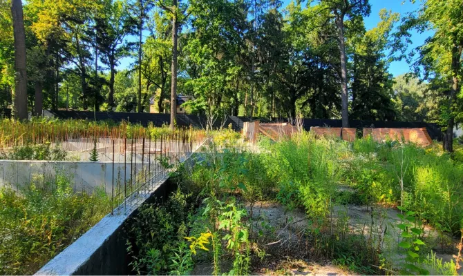 Продам ділянку 111 соток в лісопарку | Toprealtor