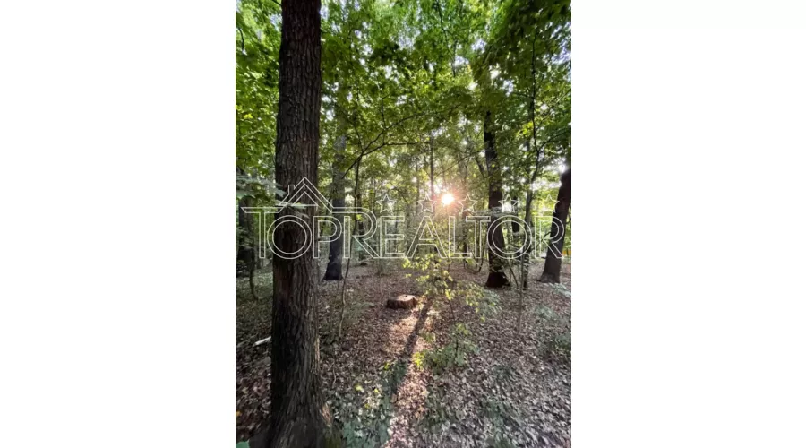 Продам ділянку 20 соток в селищі Форест | Toprealtor