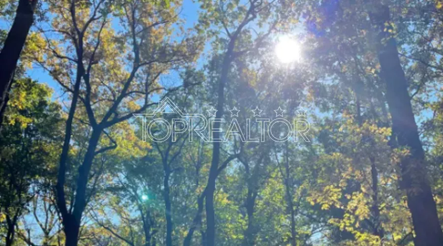 Продам ділянку 20 соток в селищі Форест | Toprealtor