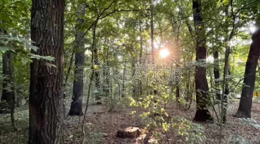 Продам ділянку 20 соток в селищі Форест | Toprealtor