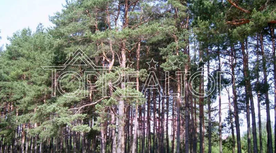 Ділянка 25 соток в Чайковці | Toprealtor