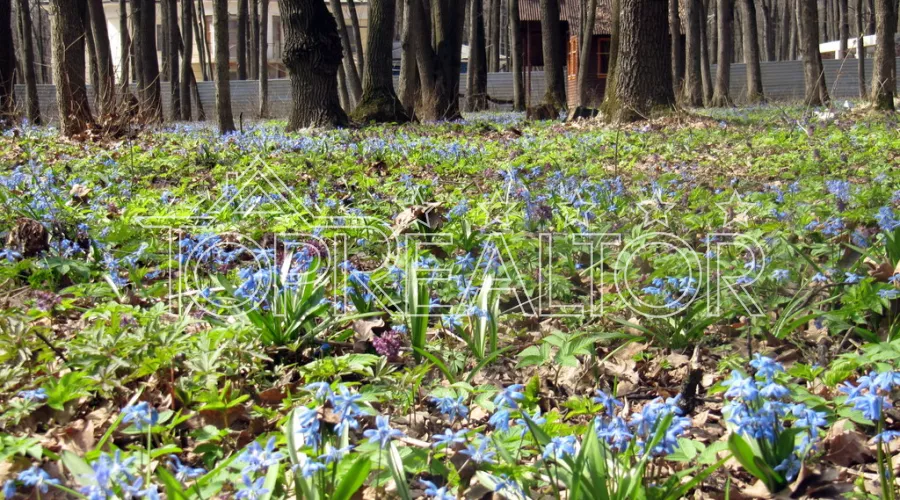 Гарна ділянка в селищі Royal Club (Роял Клаб) площею 22 сотки | Toprealtor