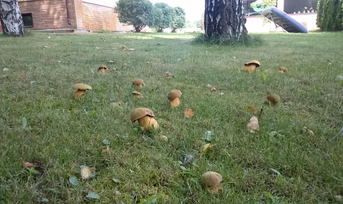 Ділянка 5 соток на провулку Дербентський | Toprealtor