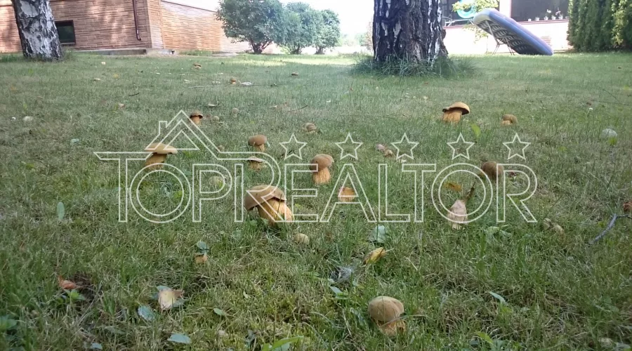 Ділянка 5 соток на провулку Дербентський | Toprealtor