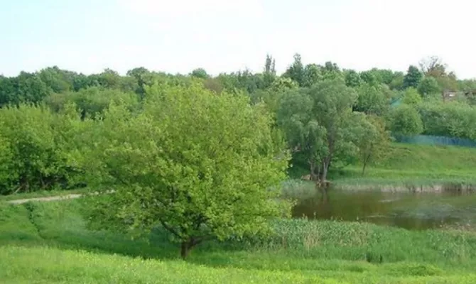 Ділянка 3,16 га в Рай-Єленівці | Toprealtor