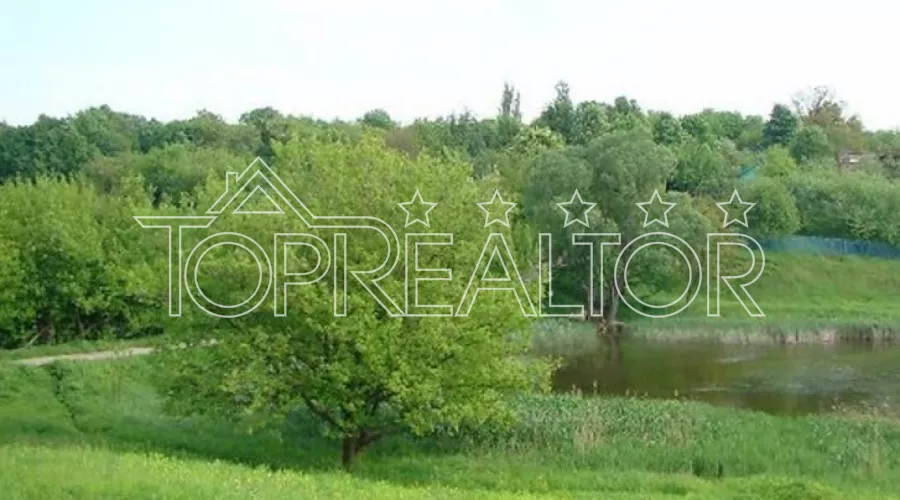 Ділянка 3,16 га в Рай-Єленівці | Toprealtor