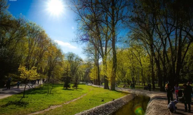 Ділянка 22 сотки навпроти комплексу | Toprealtor