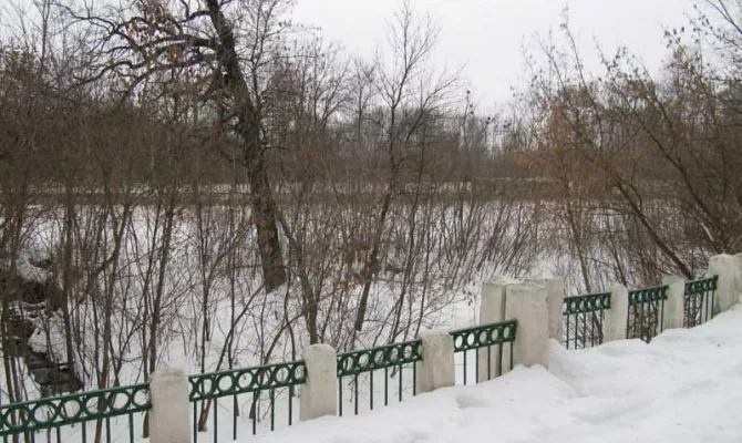 Ділянка 48 соток по Білгородському шосе | Toprealtor