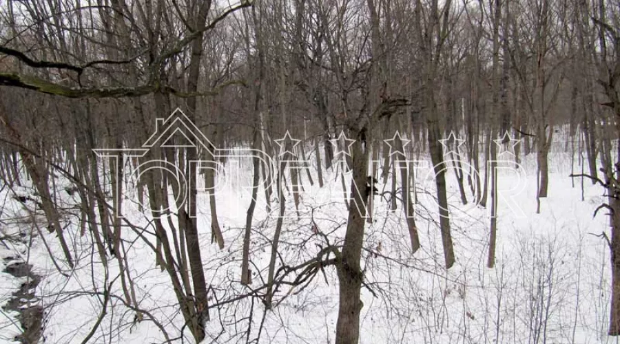 Ділянка 48 соток по Білгородському шосе | Toprealtor