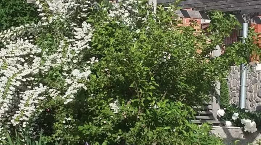 Продам 2-поверховий будинок в Тимченках! | Toprealtor