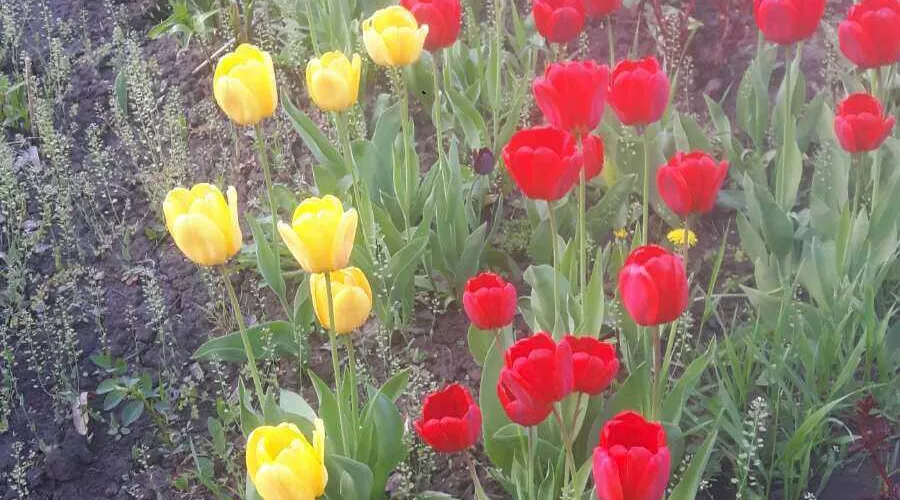 Продам 2-поверховий будинок в Тимченках! | Toprealtor