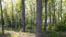 Продам участок 14 соток в коттеджном посёлке Роял Клаб | Toprealtor 5