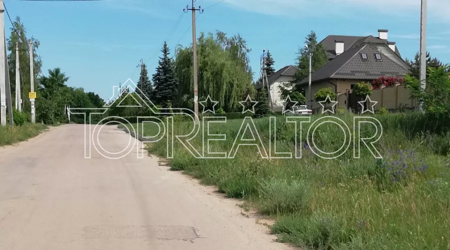 Ділянка 1,1 га з гарним видом на Велику Данилівку | Toprealtor