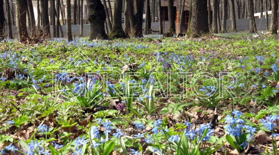 Ділянка 20 соток в Парк Хаусі | Toprealtor