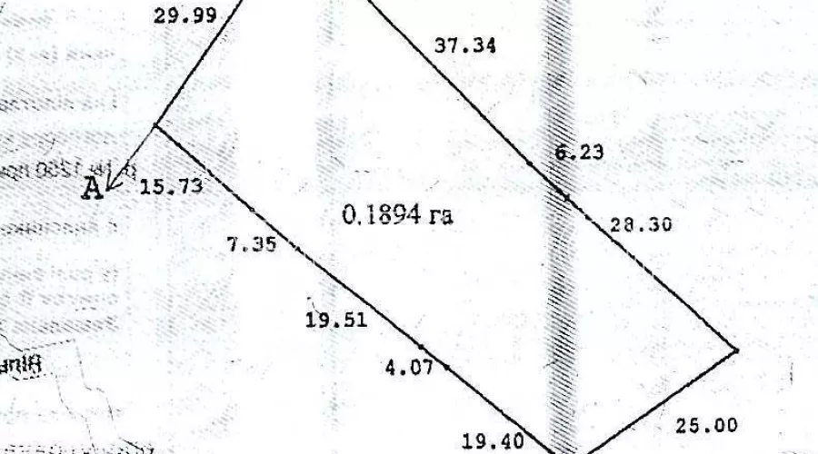Ділянка 30 соток в Ольховці  зі своїм пляжем | Toprealtor