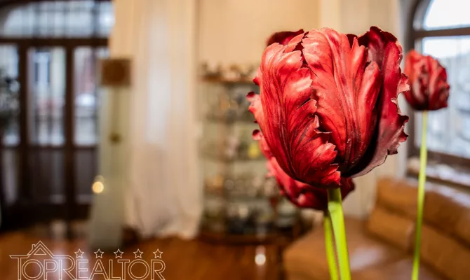 Продам 2-ярусну 5-кімн. квартиру в історичному особняку на вул. Алчевських | Toprealtor