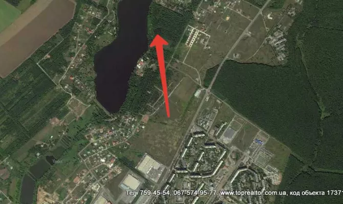 Ділянка в лісі площею 60 соток на Флоринці-2 | Toprealtor