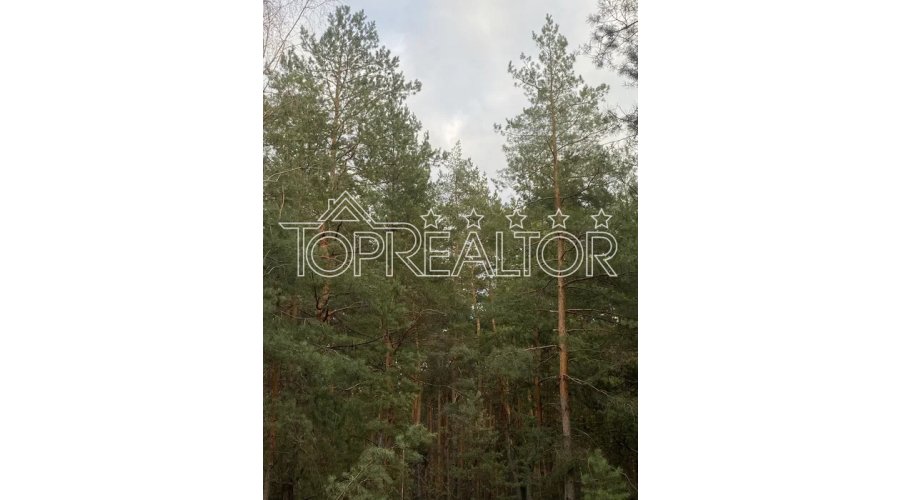Продаж сучасного котеджу в районі Жихор-2 | Toprealtor