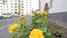 Продаж 1-к квартири в ЖК Річковий Квартал (Франківська, 10-А) | Toprealtor 5