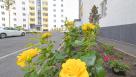 Продаж 4-к квартири в ЖК Річковий Квартал (Франківська, 10-А) | Toprealtor 0
