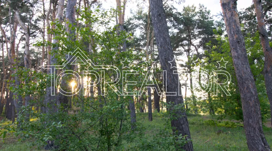 Продам 2-поверховий будинок в Пісочині | Toprealtor