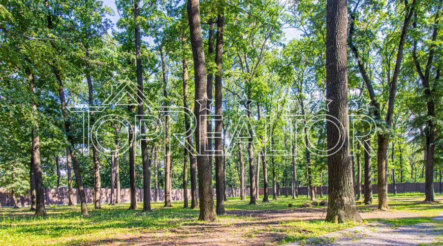 Продаж фешенебельної резиденції в котеджному селищі Парк Хаус | Toprealtor