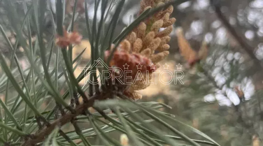 Продаж ділянки 9,3 сотки  на Шатилівці | Toprealtor