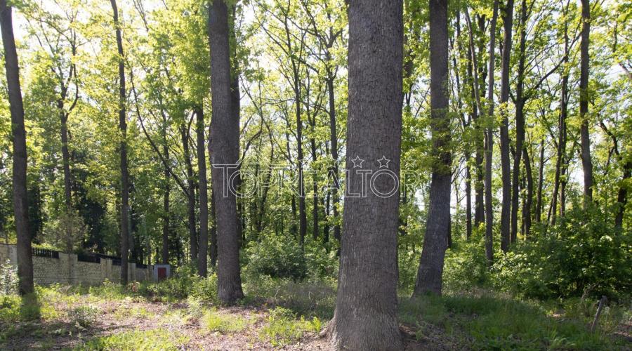 Продам ділянку 19 соток у котеджному селищі  | Toprealtor