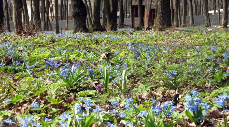 Продаж ділянки 14,26 соток у котеджному селищі Парк Хаус | Toprealtor