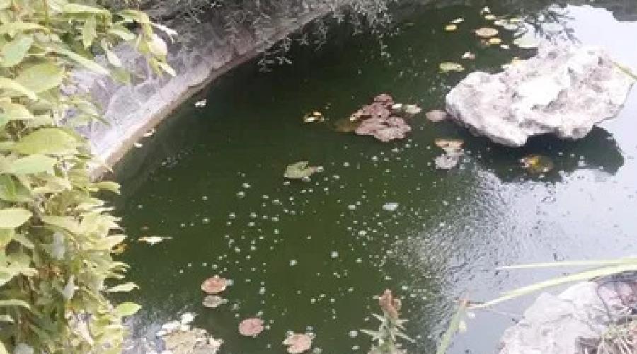 Продаж будинку з басейном на Холодній горі | Toprealtor