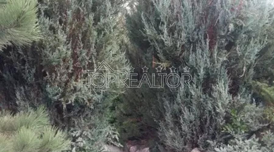 Продаж будинку з басейном на Холодній горі | Toprealtor