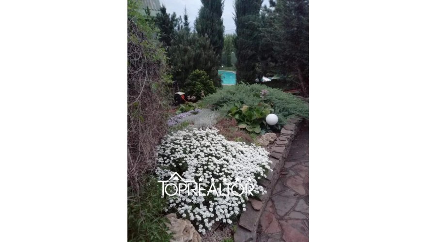 Продаж будинку з басейном на Холодній горі | Toprealtor