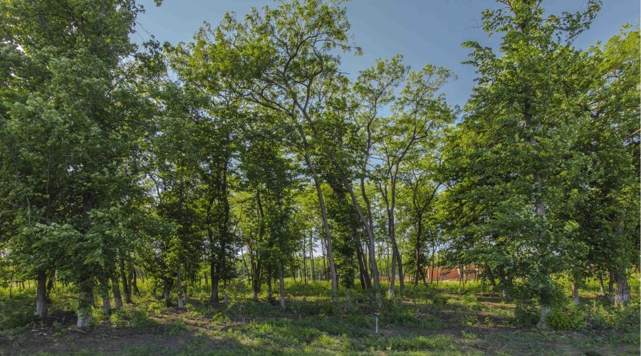 Продам ділянку 15 соток в котеджному селищі Шале-Грааль | Toprealtor