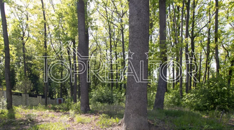 Продаж ділянки 39 соток під комерцію на Харківському шосе | Toprealtor