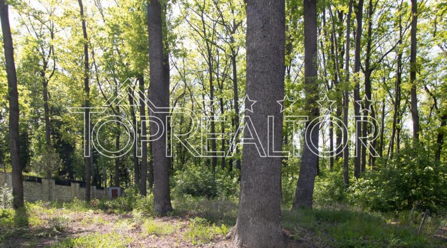 Продаж ділянки 39 соток під комерцію на Харківському шосе | Toprealtor