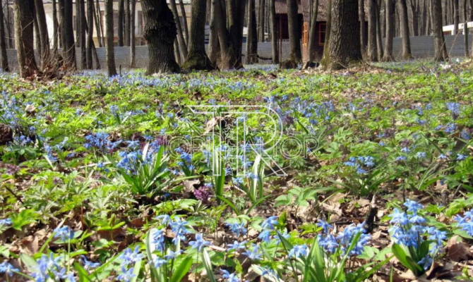 Продаж ділянки 39 соток під комерцію на Харківському шосе | Toprealtor