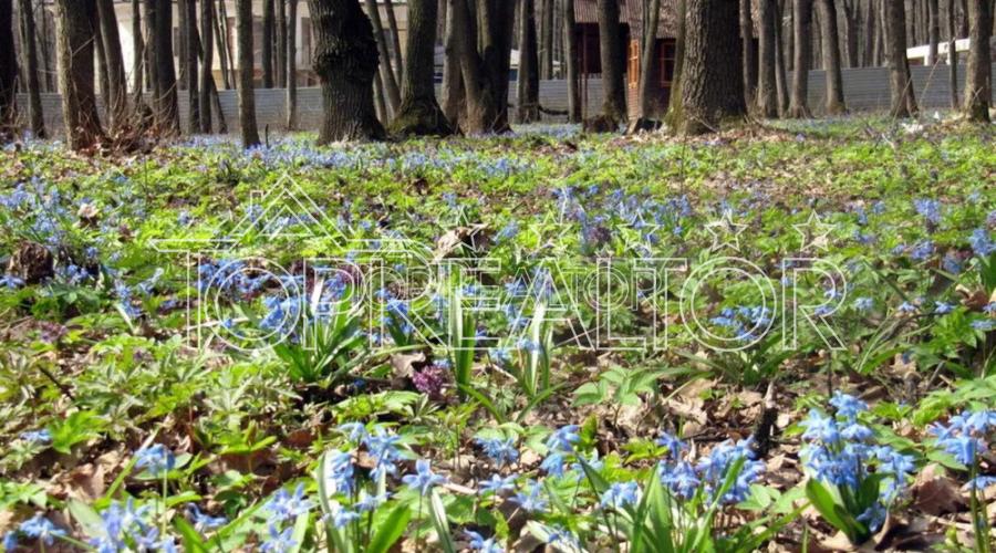 Продаж ділянки 39 соток під комерцію на Харківському шосе | Toprealtor