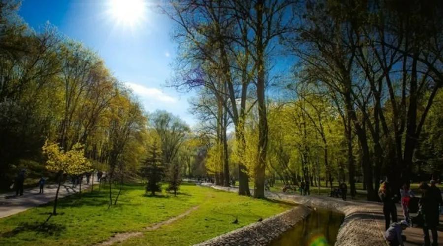 Продаж ділянки 10 соток під забудову на Шатилівці | Toprealtor
