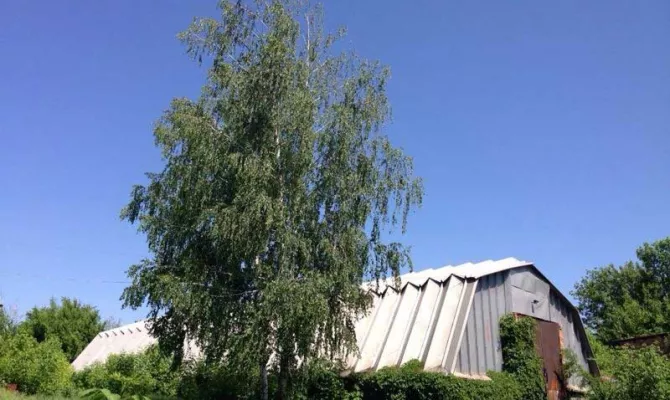 Виробнича база в районі аеропорту | Toprealtor